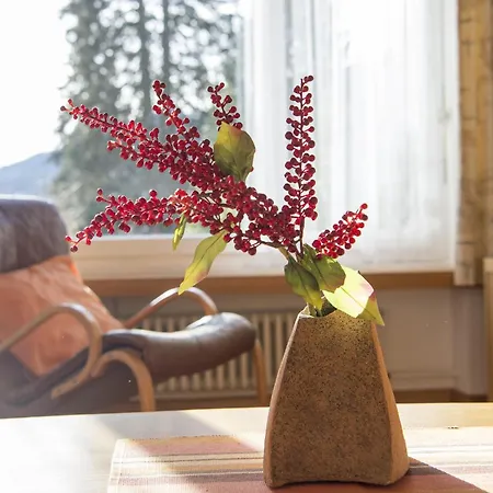 Mistaila Mit Garten Fuer 6 Personen Lenzerheide アパート ヴァルベラ